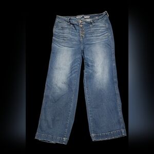 Torrid Blue Flare Button-Fly Women's Jeans